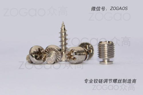 揭東縣埔田鎮(zhèn)東春五金制品廠是一家新型鉸鏈調(diào)節(jié)螺絲生產(chǎn)廠家